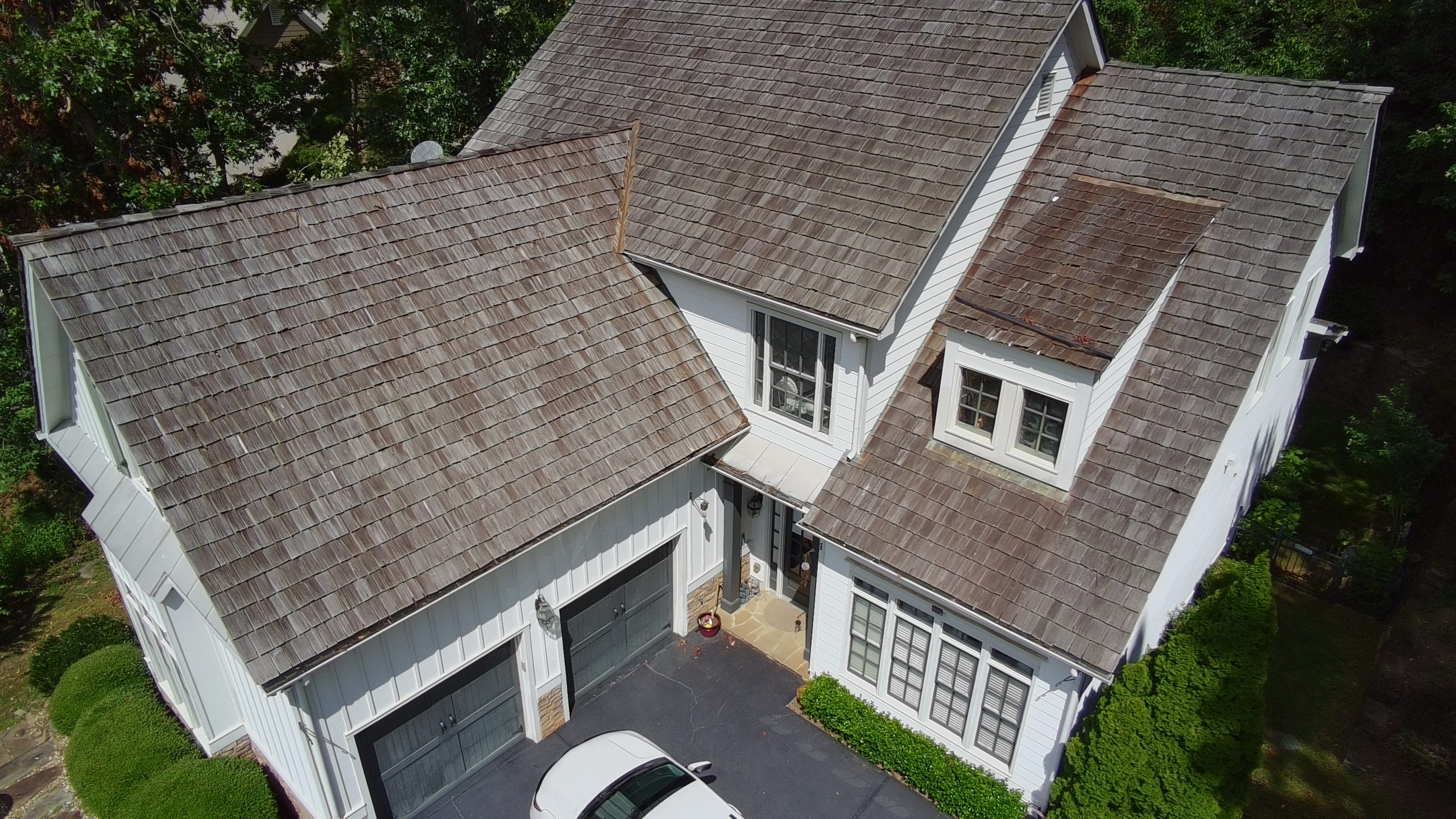 single Photo single Photo